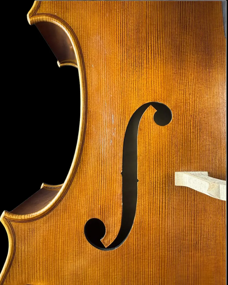 Violoncel de maestru №67 — Matteo Gofriller 1693 — fotografie 4