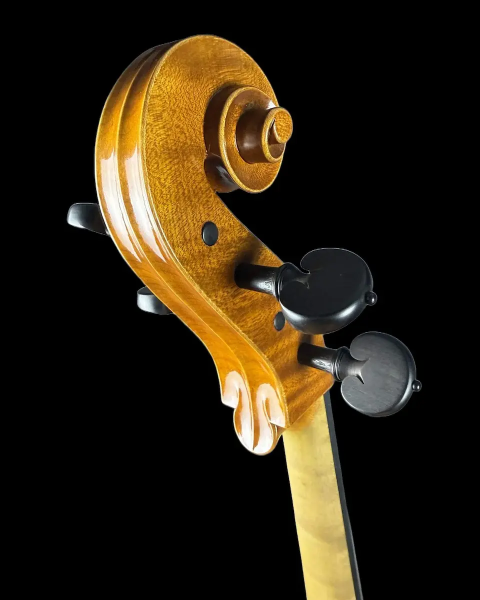 Violoncel de maestru №67 — Matteo Gofriller 1693 — fotografie 5