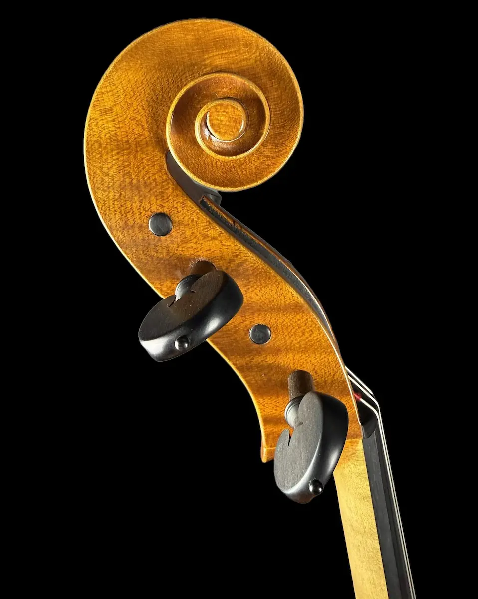 Violoncel de maestru №67 — Matteo Gofriller 1693 — fotografie 6