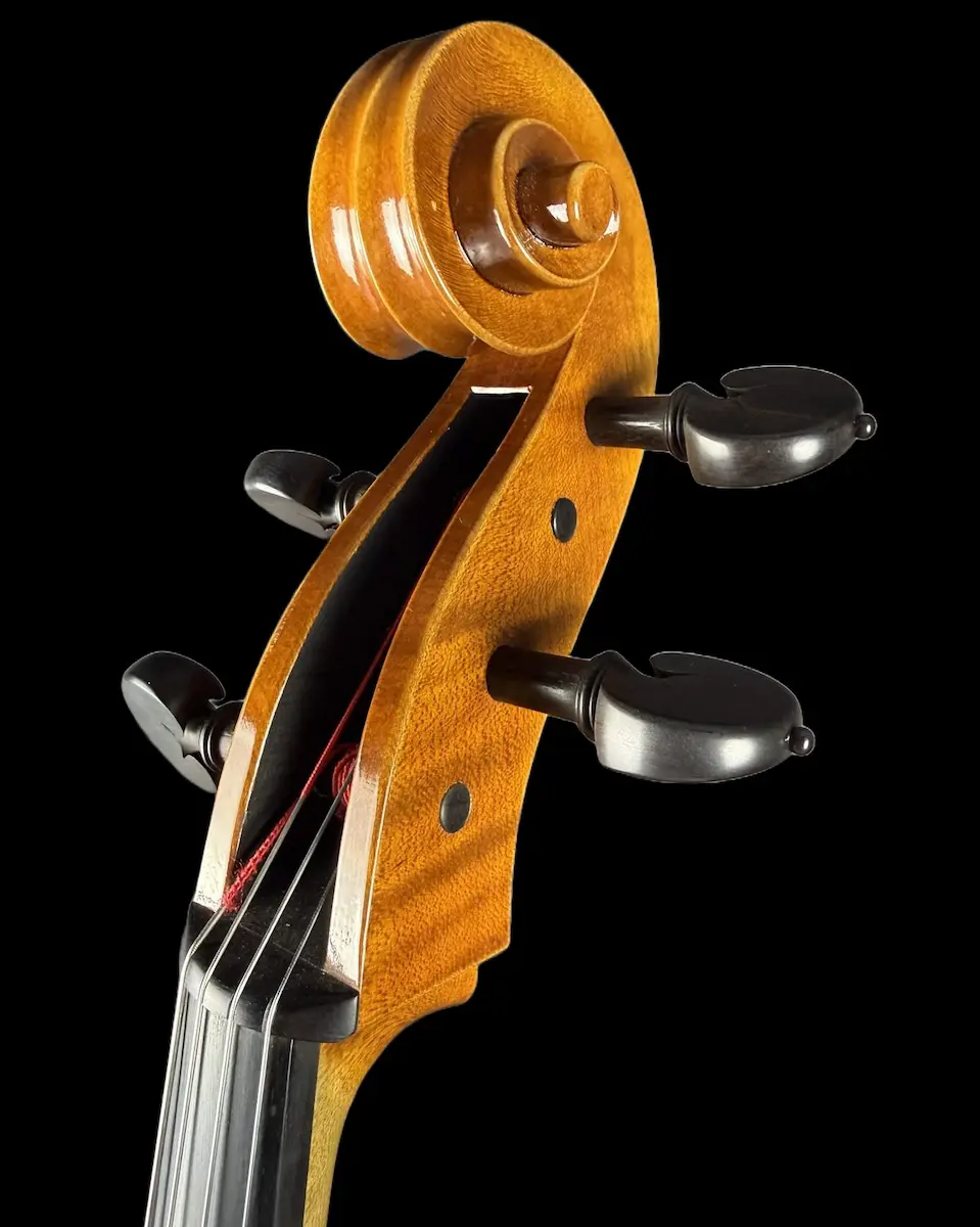 Violoncel de maestru №67 — Matteo Gofriller 1693 — fotografie 7