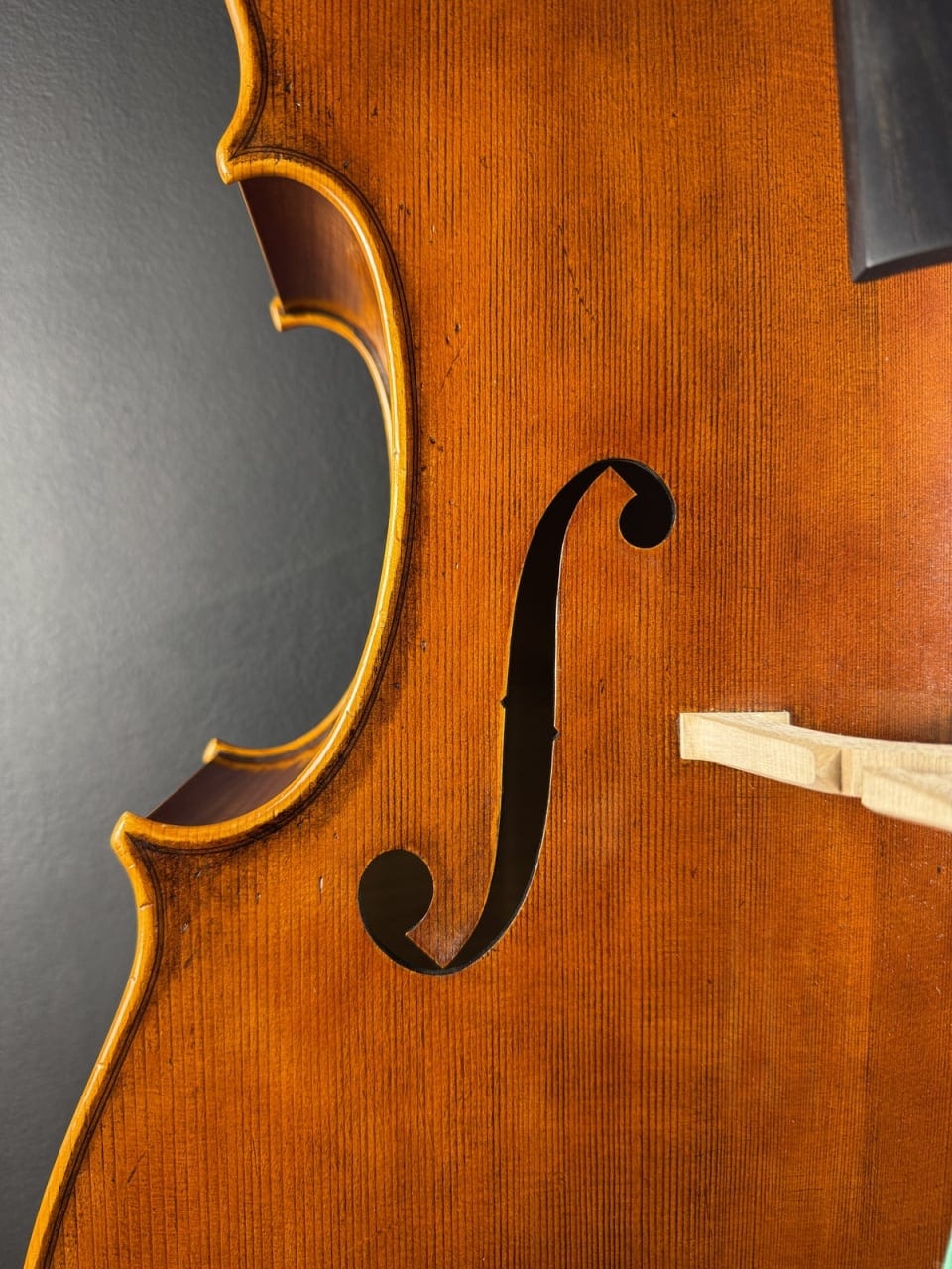 Master cello No. 68 — Stradivari model (small) — photo 5