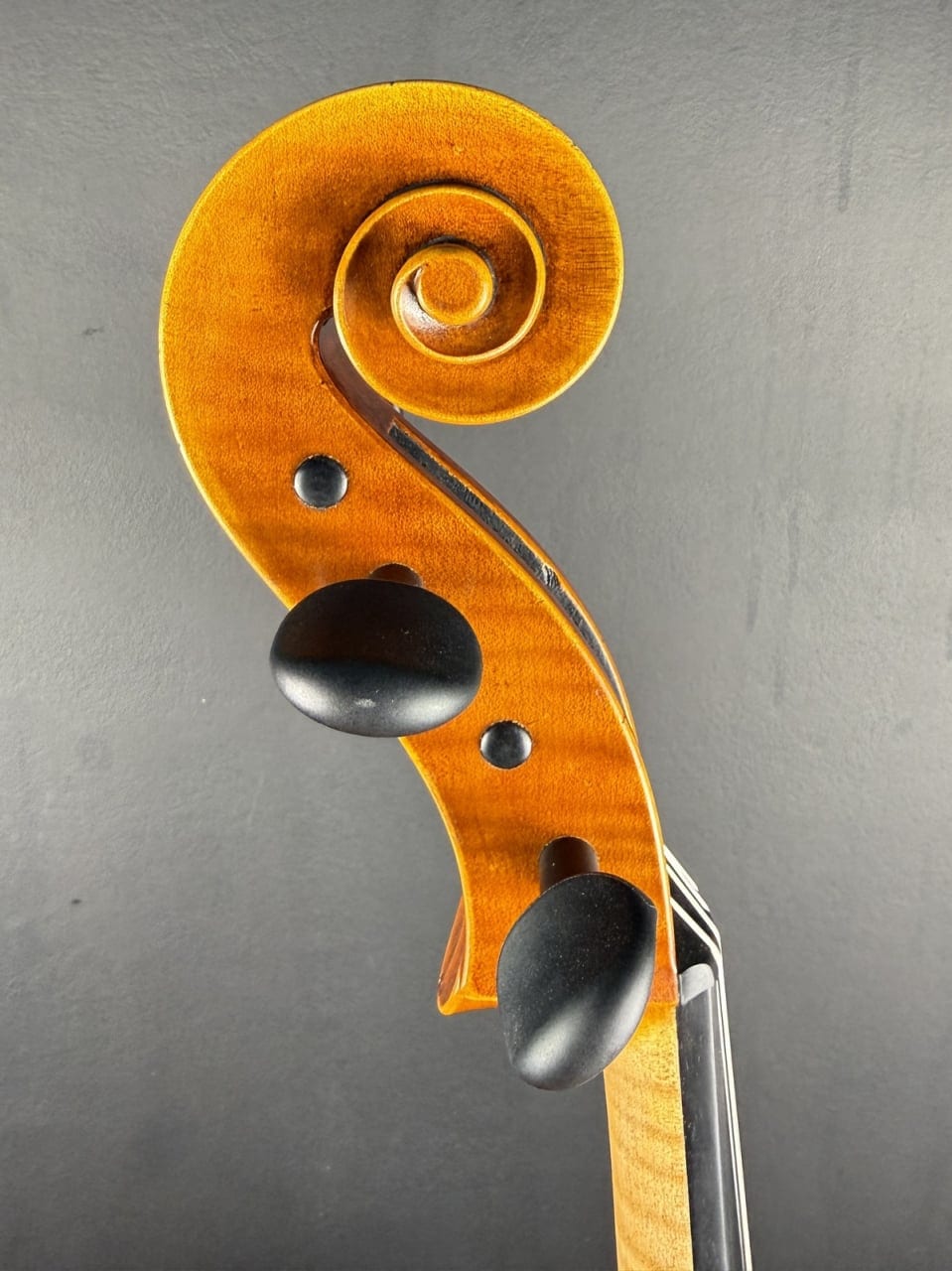 Master cello No. 68 — Stradivari model (small) — photo 8