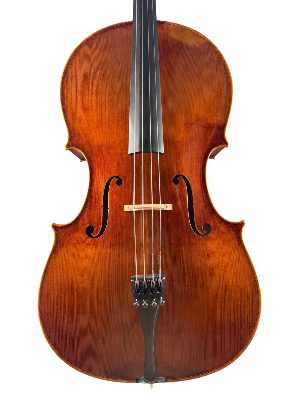 Master cello No. 69 — Montagnana model