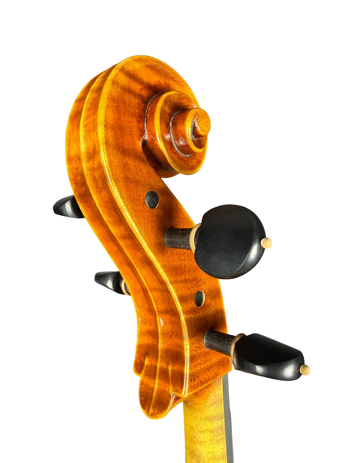 Master cello No. 69 — Montagnana model — photo 10