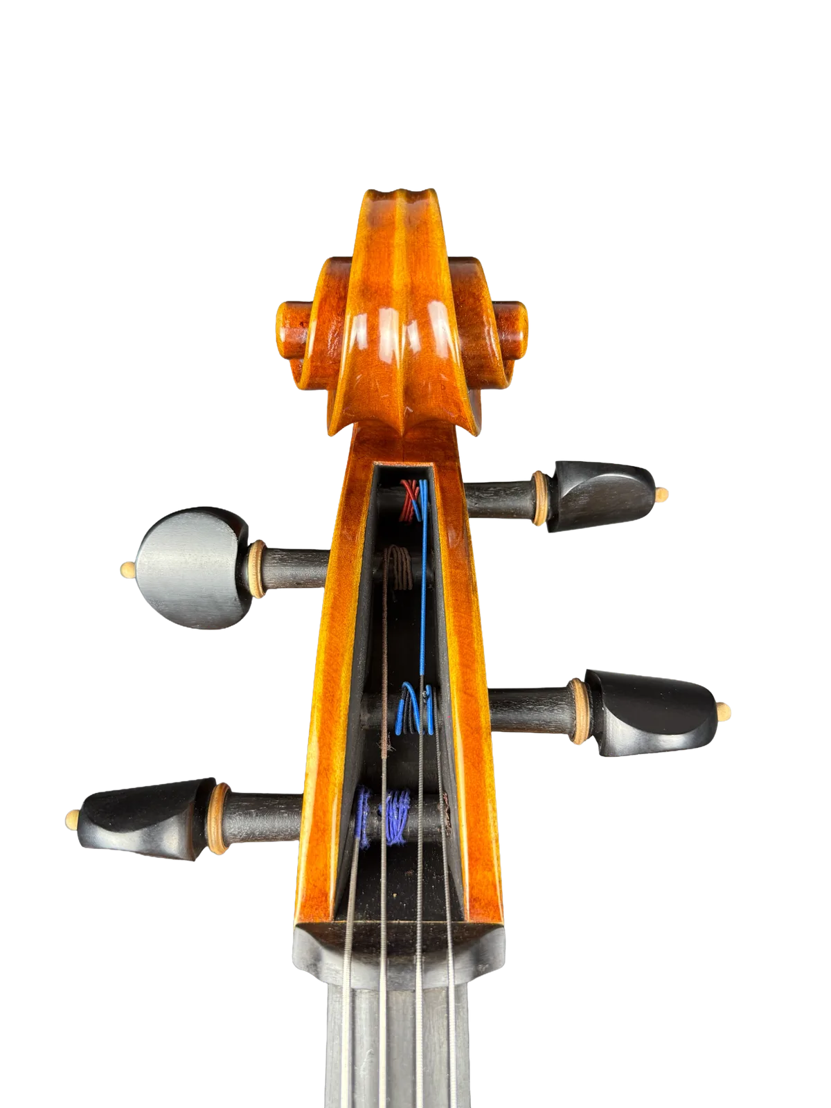 Master cello No. 69 — Montagnana model — photo 11