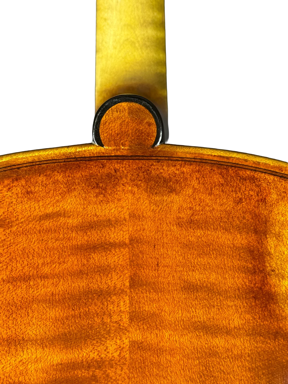 Master cello No. 69 — Montagnana model — photo 12
