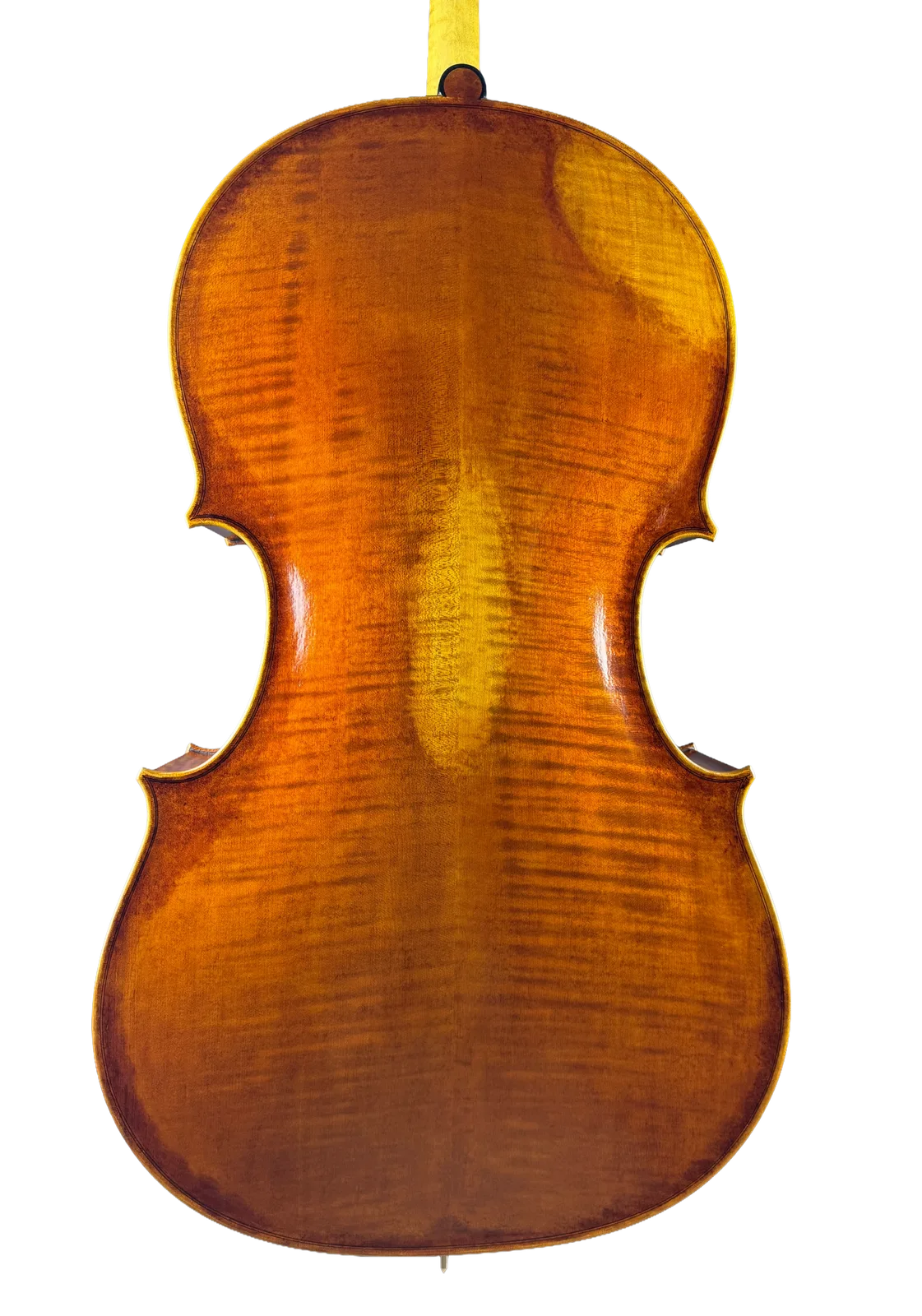 Master cello No. 69 — Montagnana model — photo 2