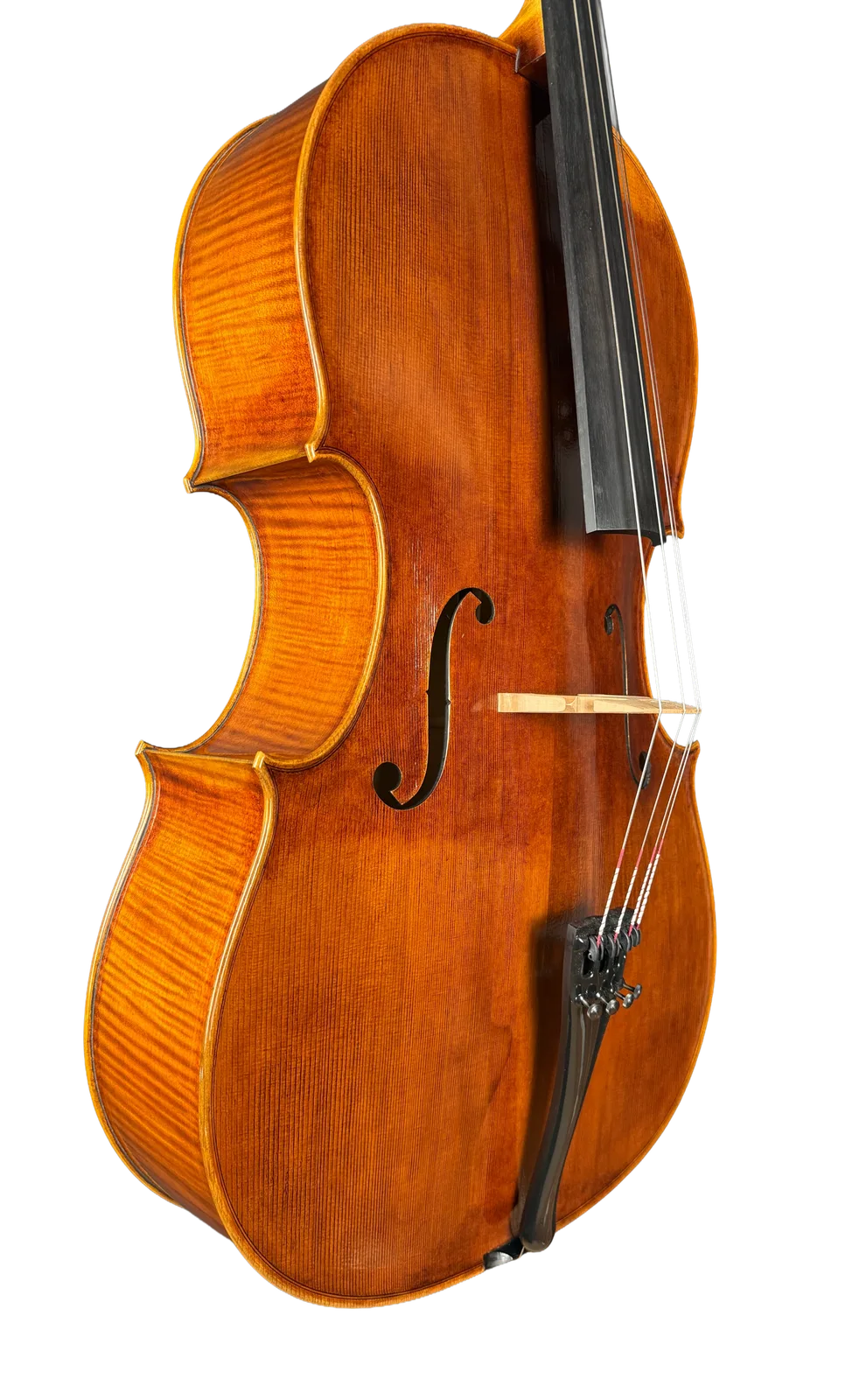 Master cello No. 69 — Montagnana model — photo 3