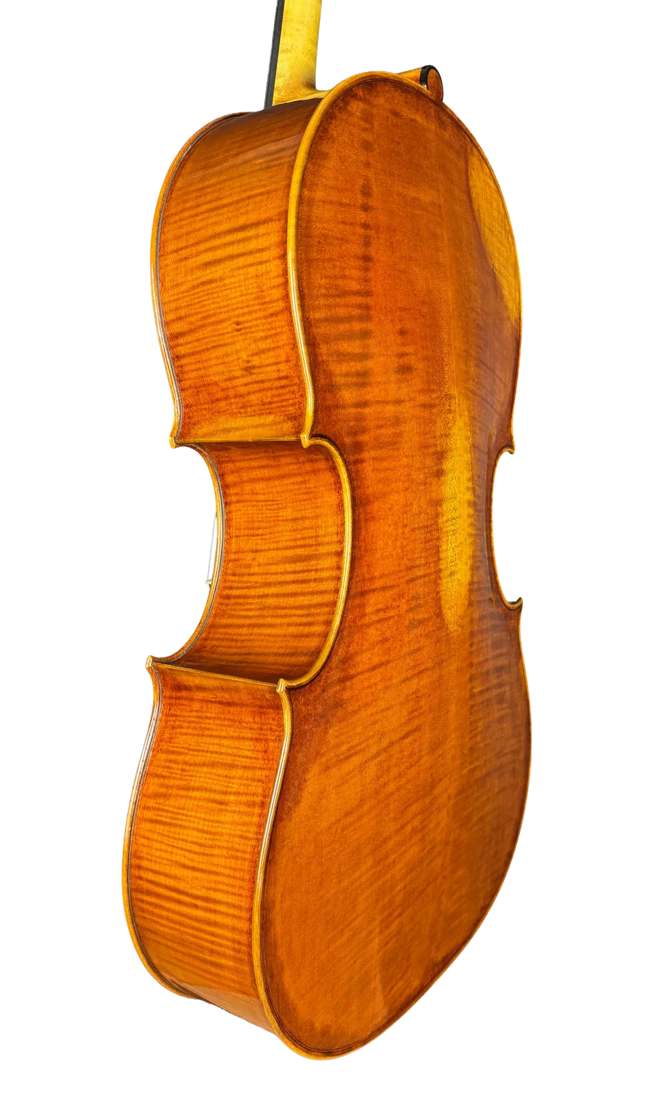 Master cello No. 69 — Montagnana model — photo 4