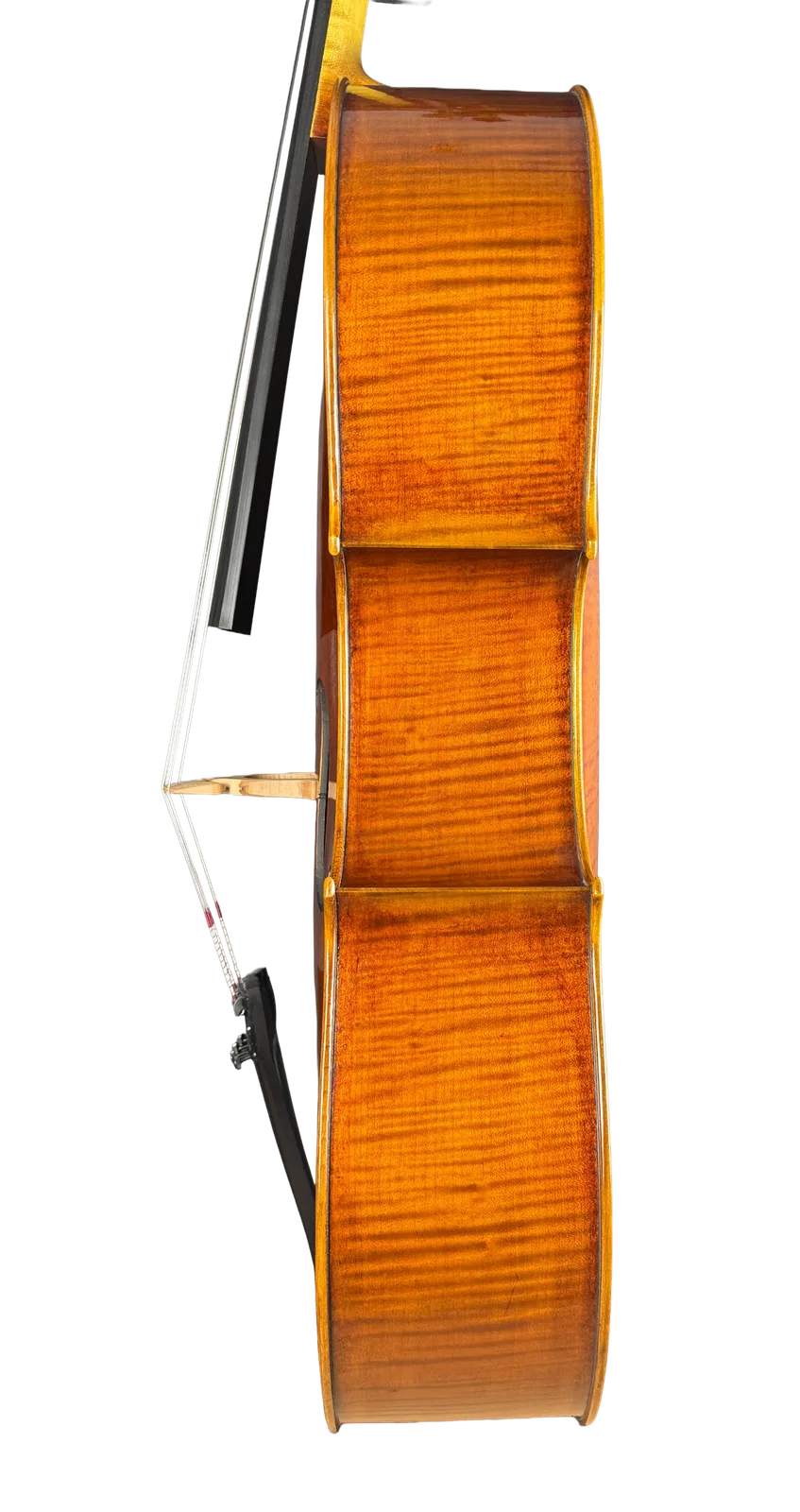 Master cello No. 69 — Montagnana model — photo 5