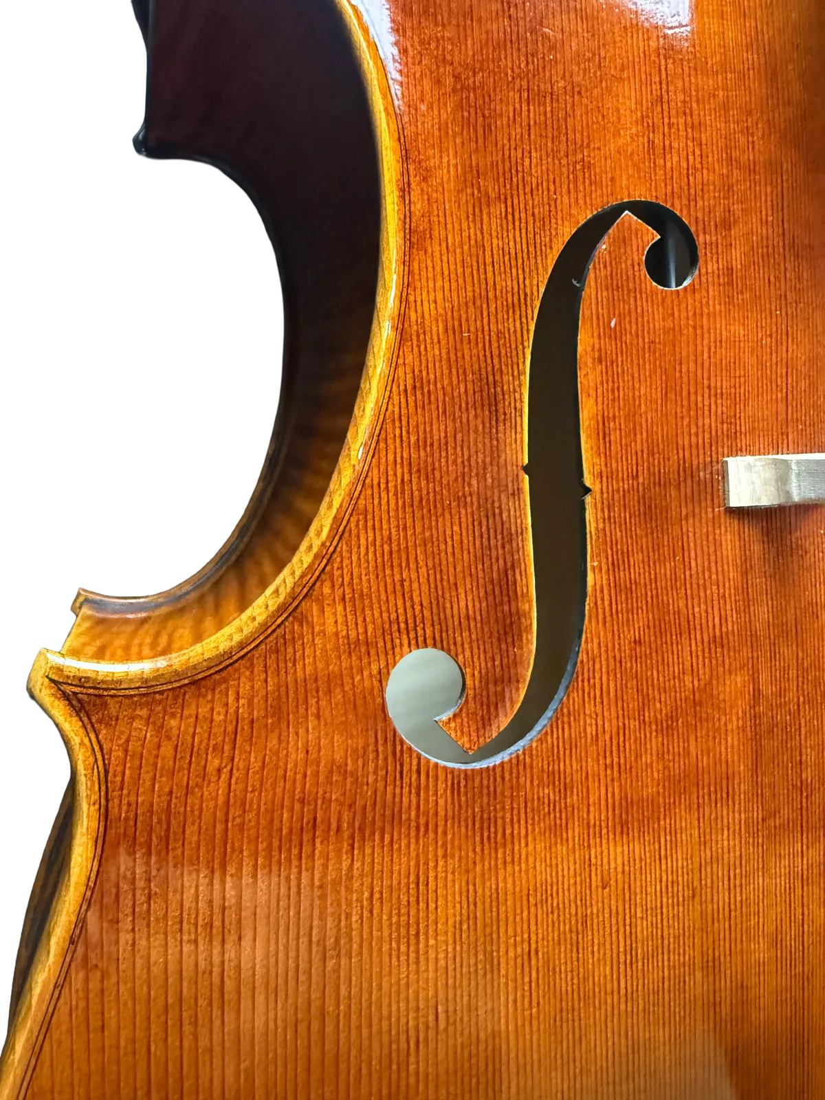 Master cello No. 69 — Montagnana model — photo 6