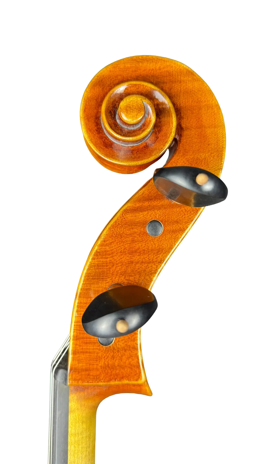 Master cello No. 69 — Montagnana model — photo 8
