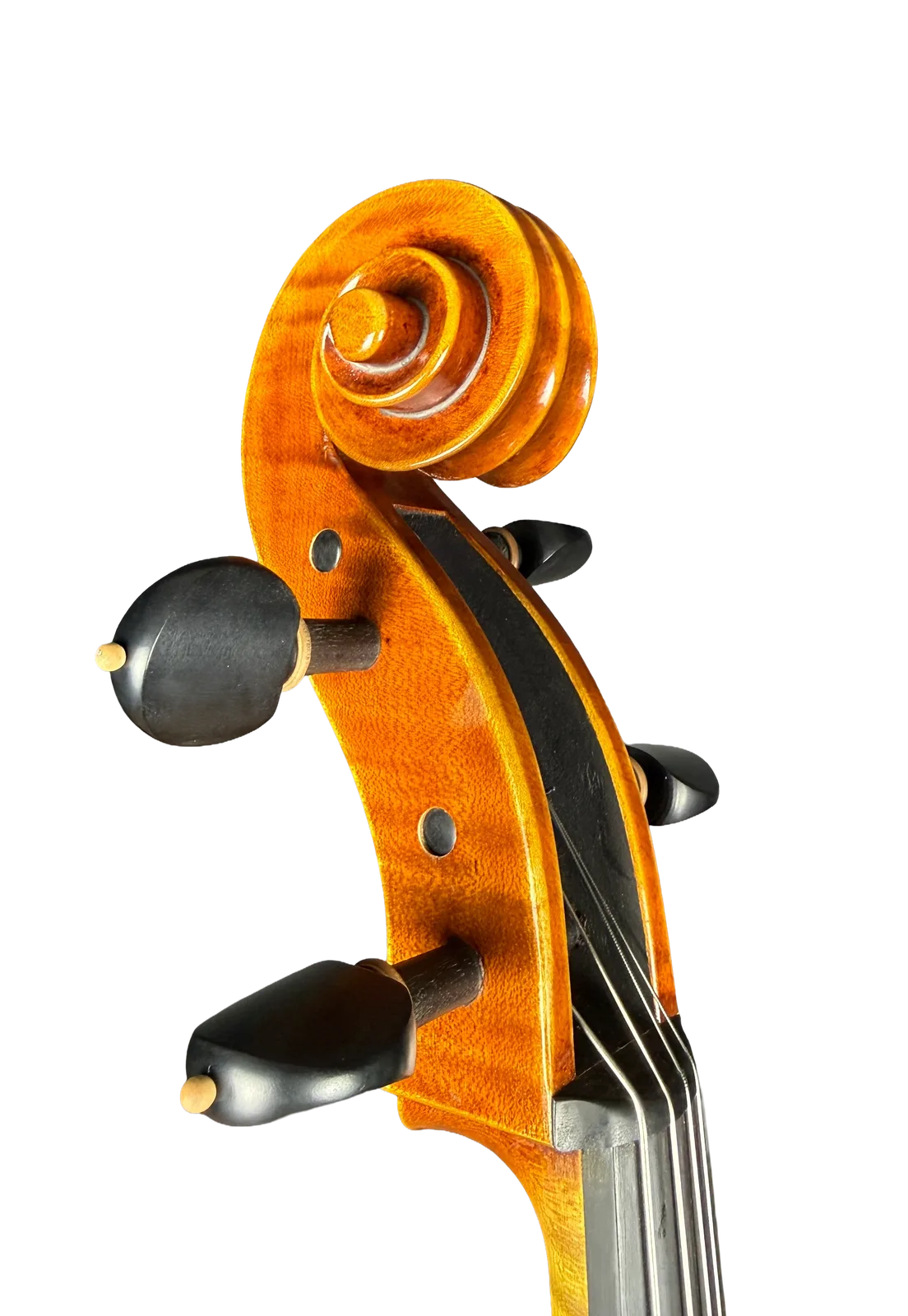 Master cello No. 69 — Montagnana model — photo 9