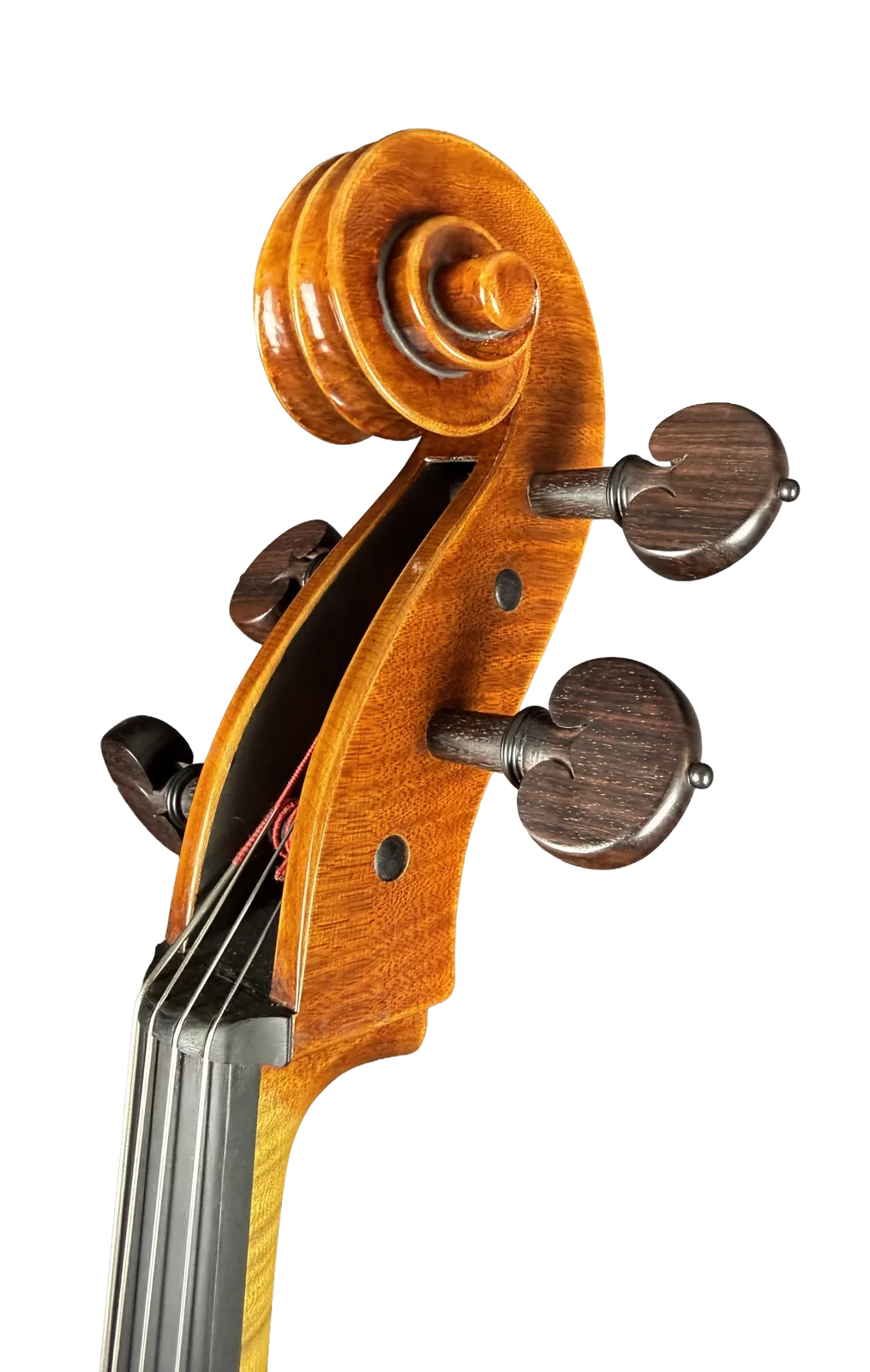 Violoncel de maestru №70 — Model Gofriller — fotografie 10