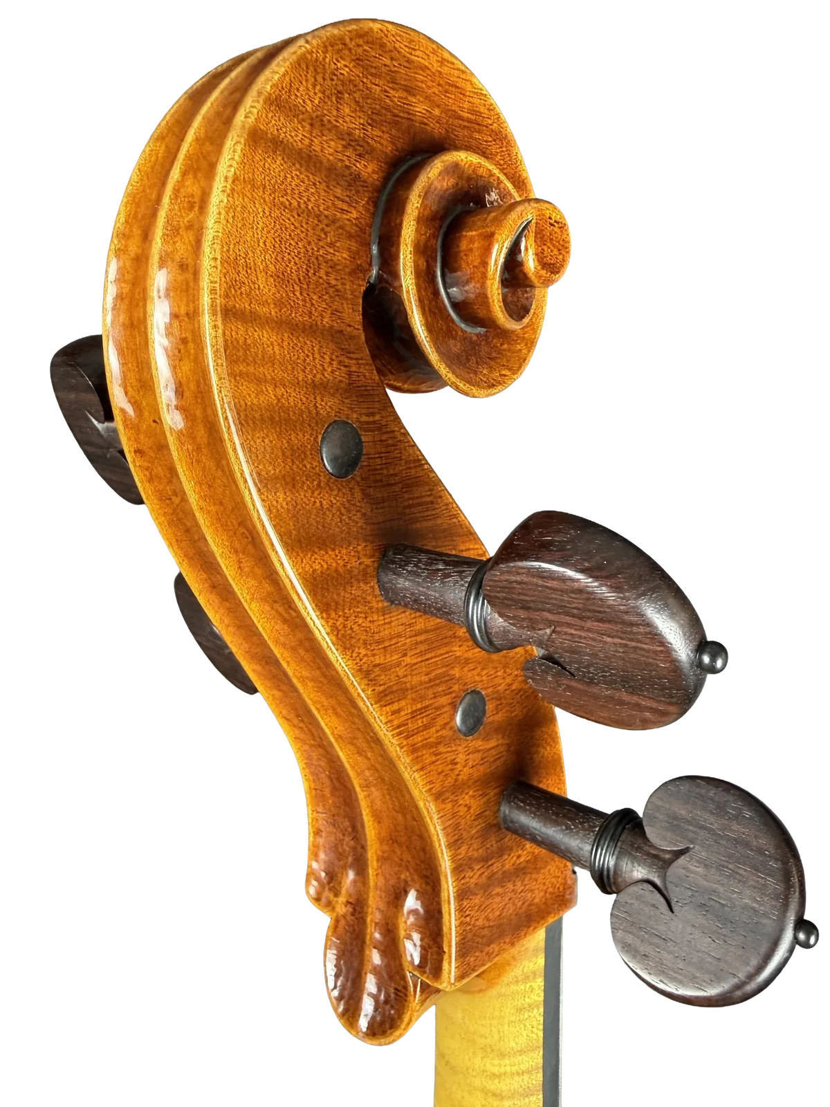 Violoncel de maestru №70 — Model Gofriller — fotografie 11