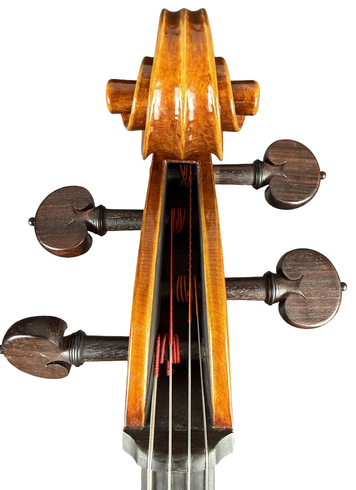 Violoncel de maestru №70 — Model Gofriller — fotografie 12