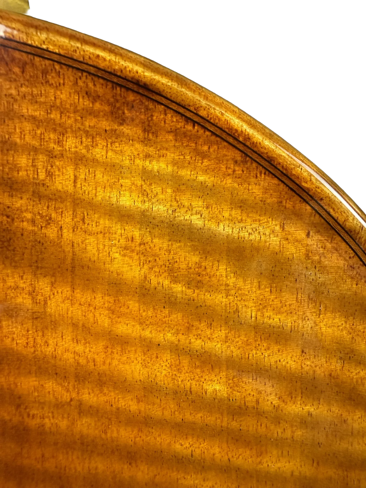 Violoncel de maestru №70 — Model Gofriller — fotografie 13