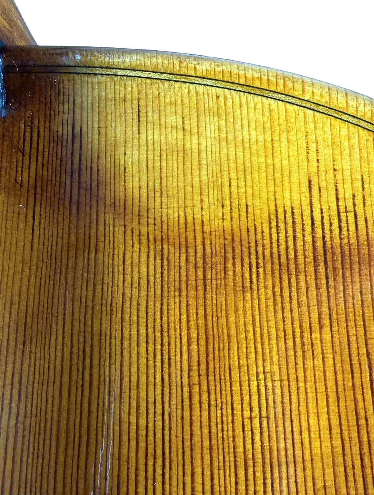 Violoncel de maestru №70 — Model Gofriller — fotografie 14