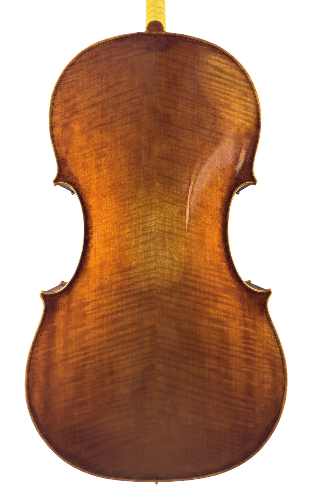 Violoncel de maestru №70 — Model Gofriller — fotografie 2