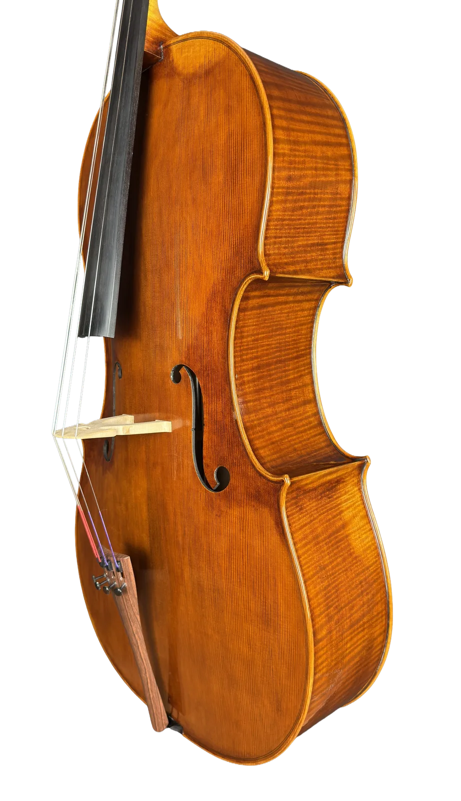 Violoncel de maestru №70 — Model Gofriller — fotografie 3