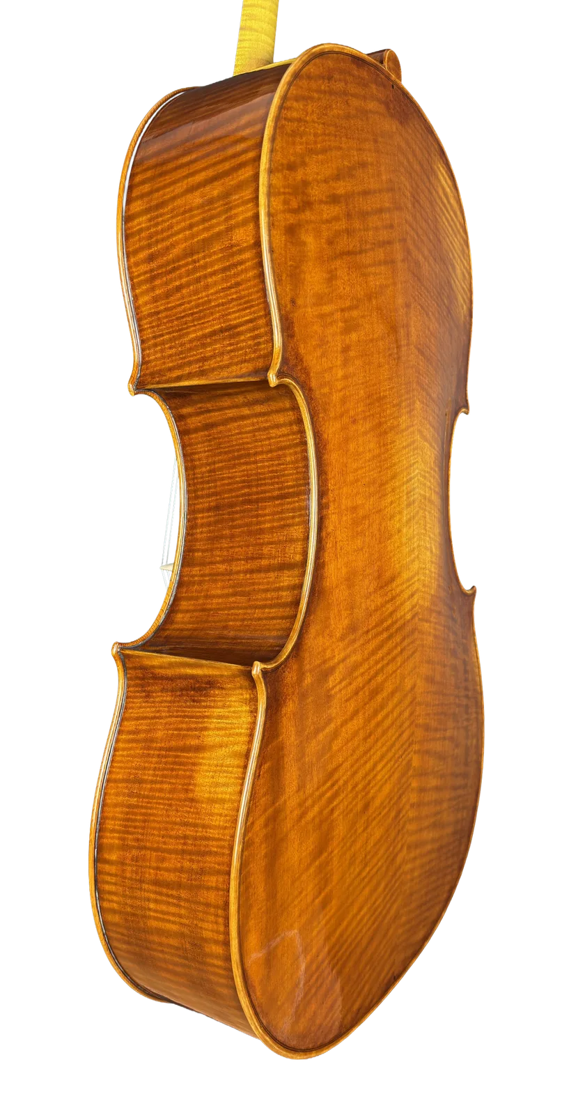 Violoncel de maestru №70 — Model Gofriller — fotografie 4