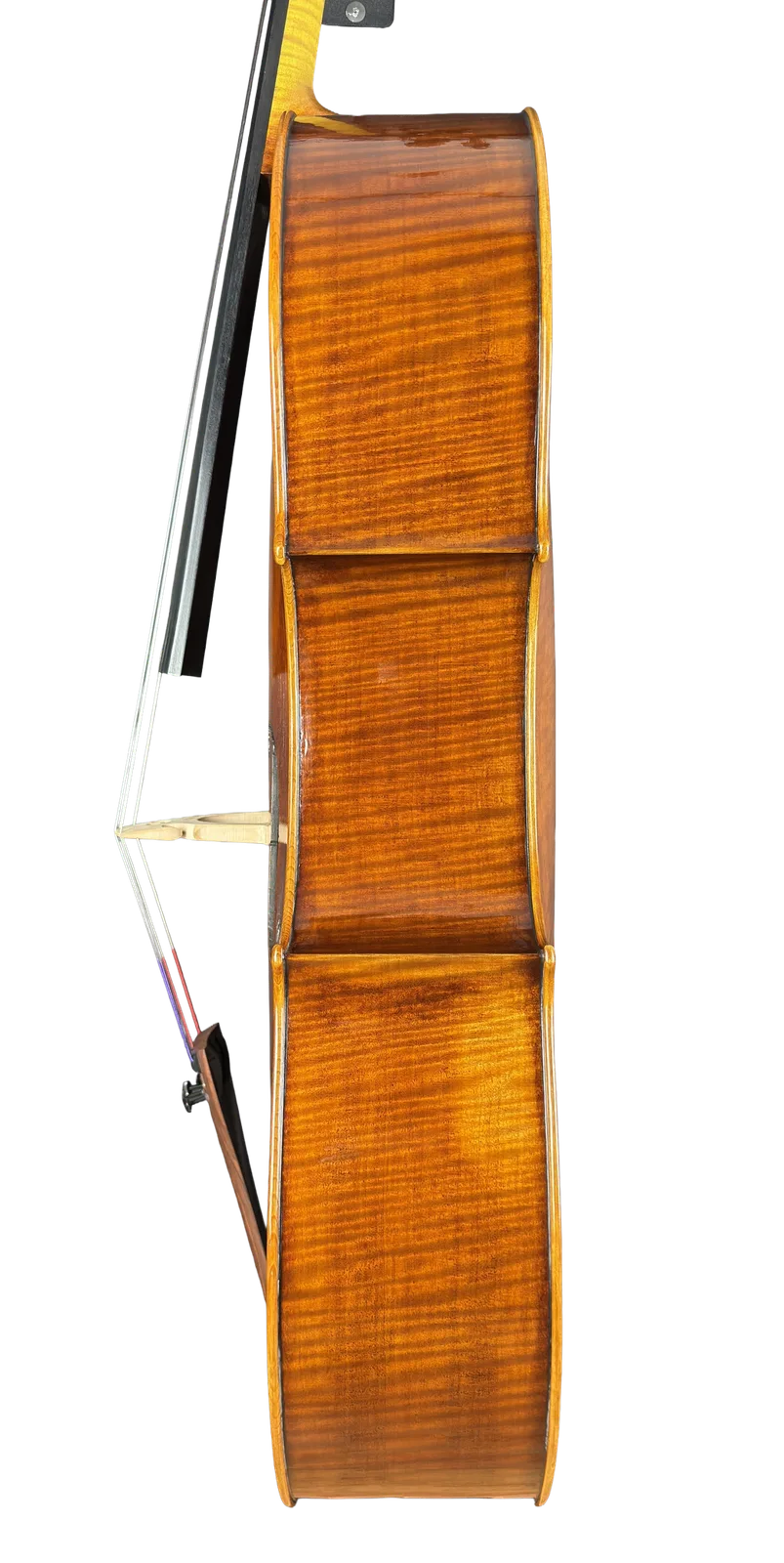 Violoncel de maestru №70 — Model Gofriller — fotografie 5