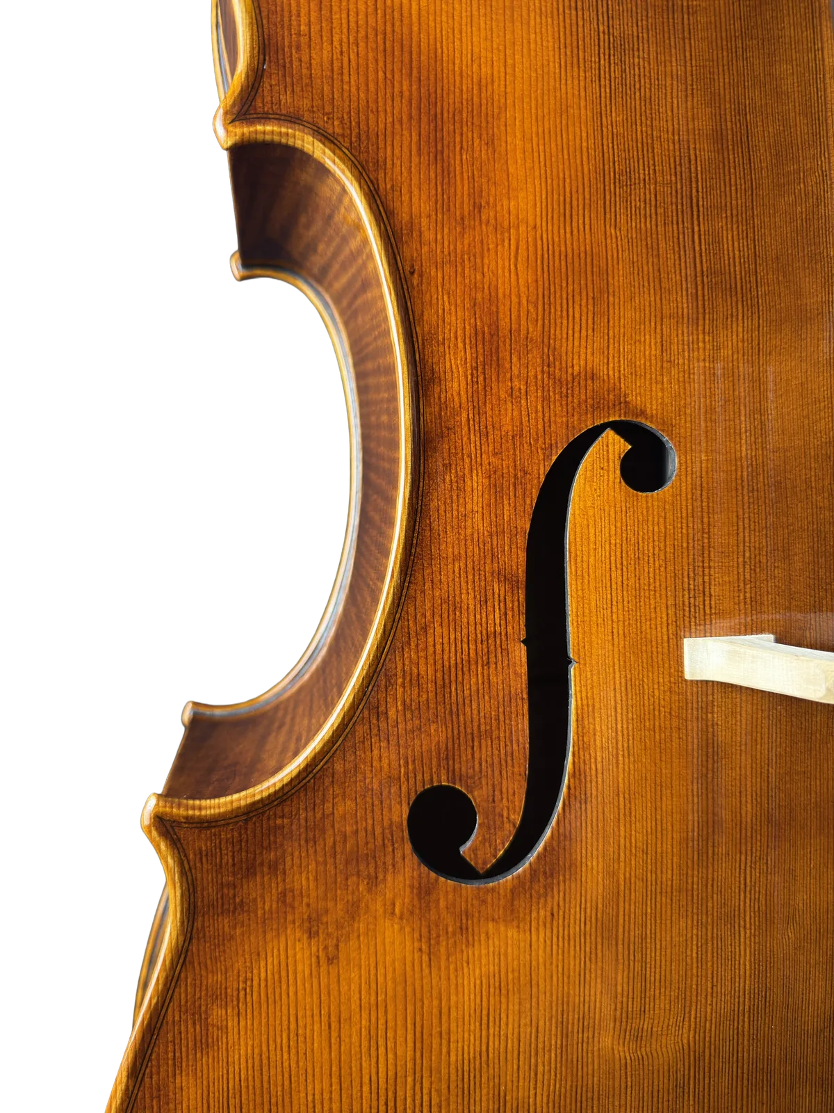 Violoncel de maestru №70 — Model Gofriller — fotografie 6