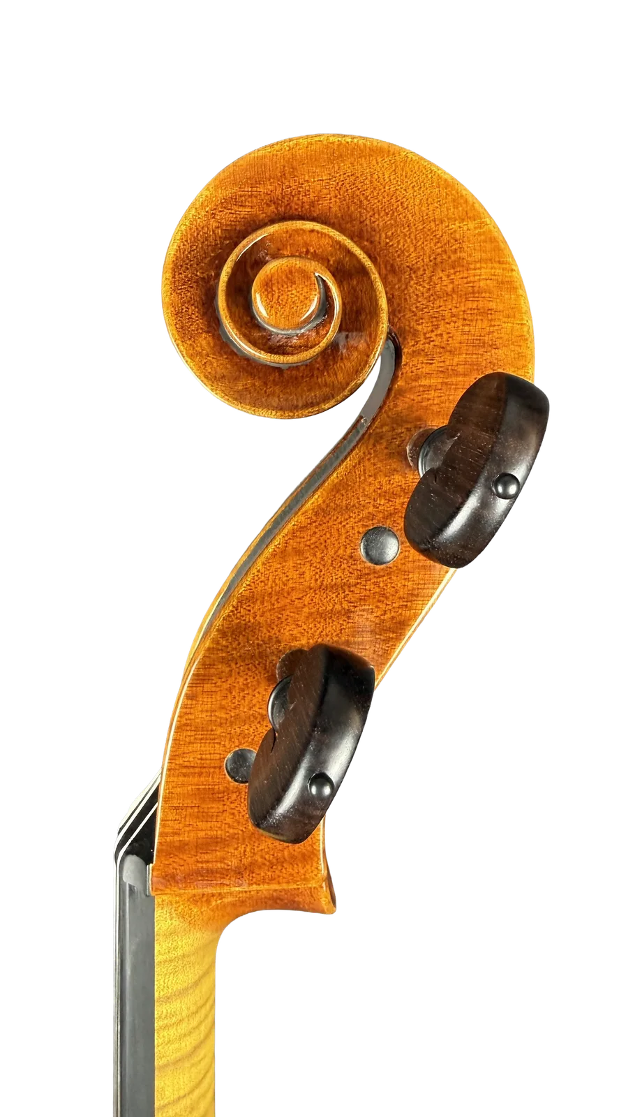 Violoncel de maestru №70 — Model Gofriller — fotografie 9