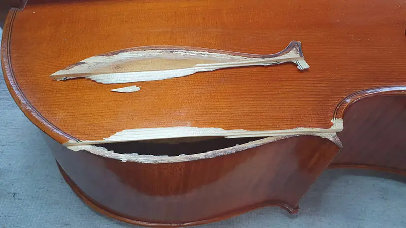 Ein langer Riss und gesplittertes Holz auf der Fichtendecke eines Cellos, vor der Reparatur