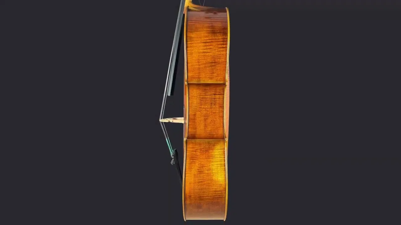 Audiție: Violoncel de maestru №7 — Model Gagliano